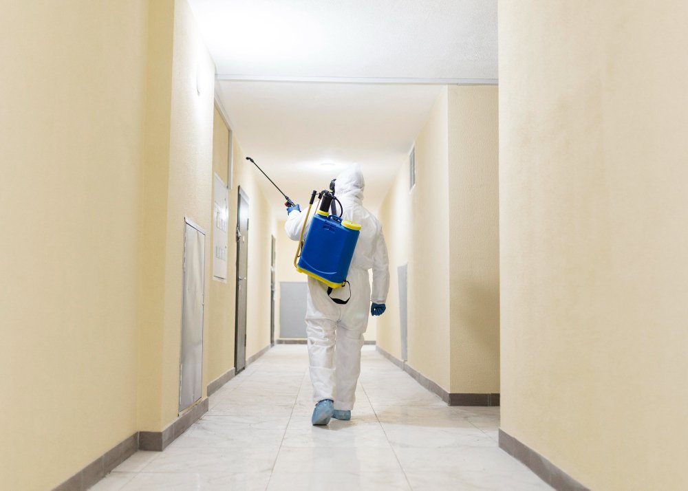 Pest control