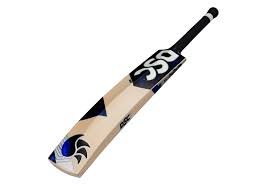 Cricket Bat