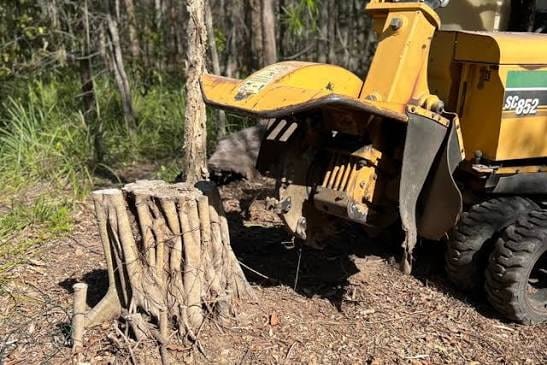 stump grinding gold coast